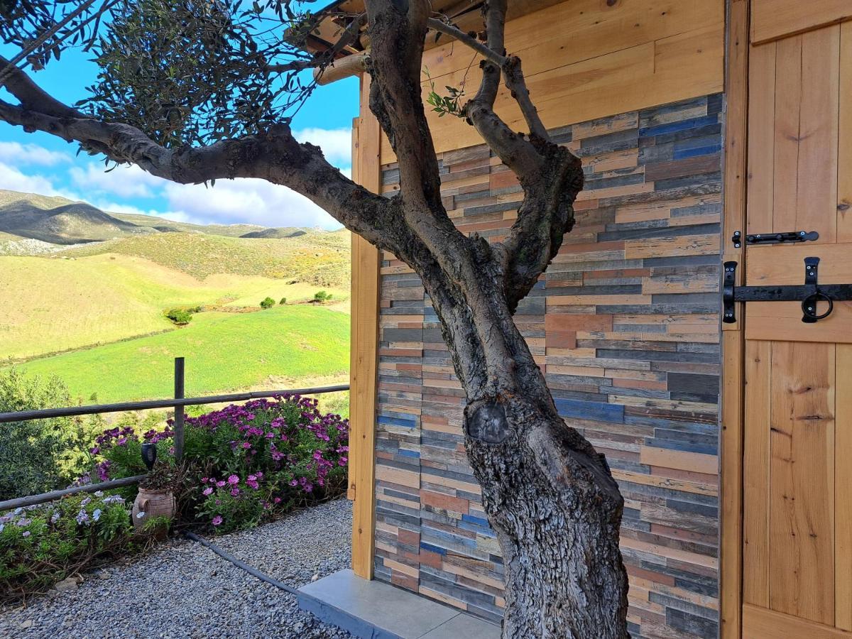 Paránimfoi Wooden House At The Mountain-Privateゲストハウス エクステリア 写真