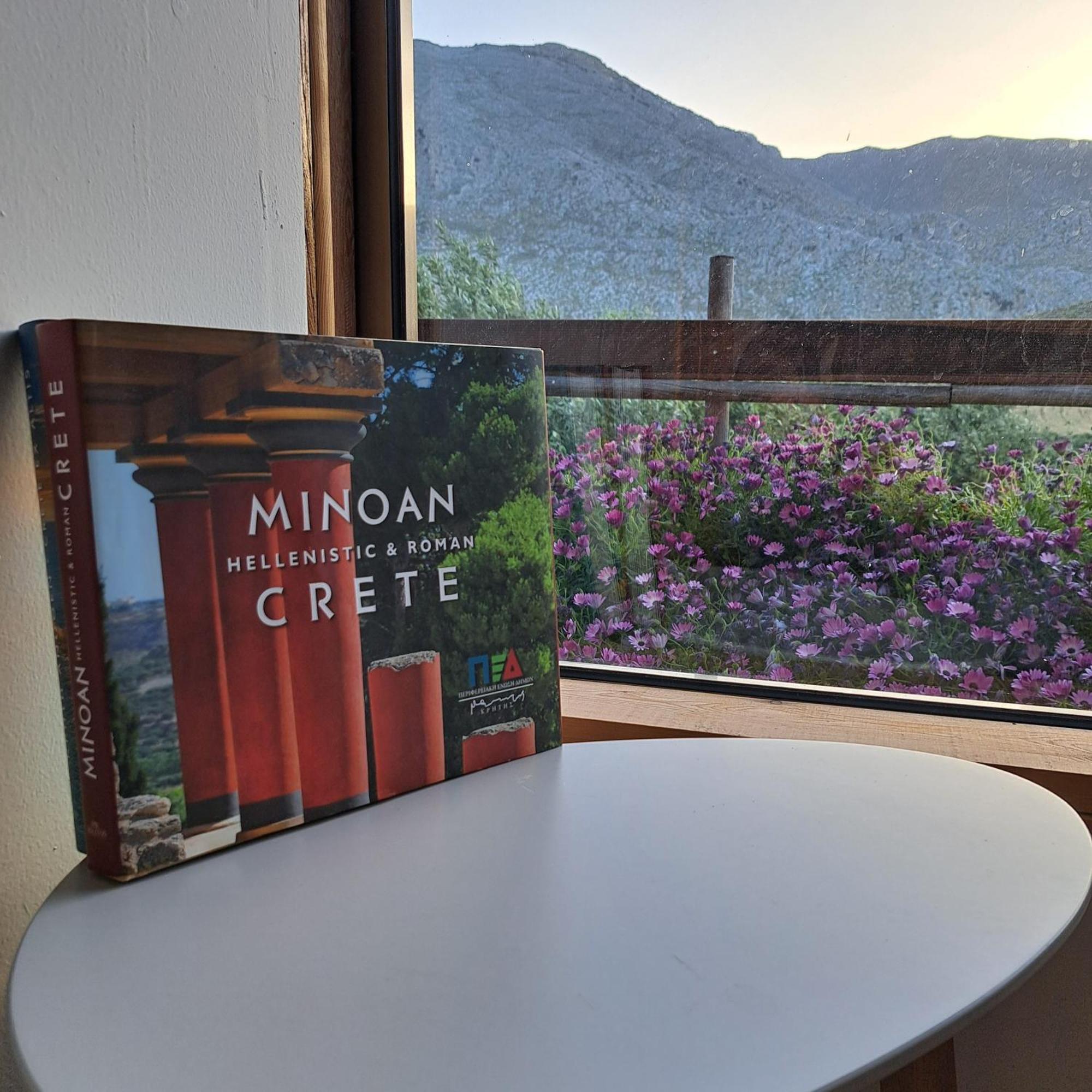 Paránimfoi Wooden House At The Mountain-Privateゲストハウス エクステリア 写真